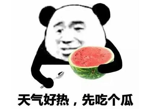 吃瓜表情包可爱