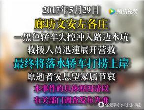 文安网友爆料视频最新,现场直击事件真相